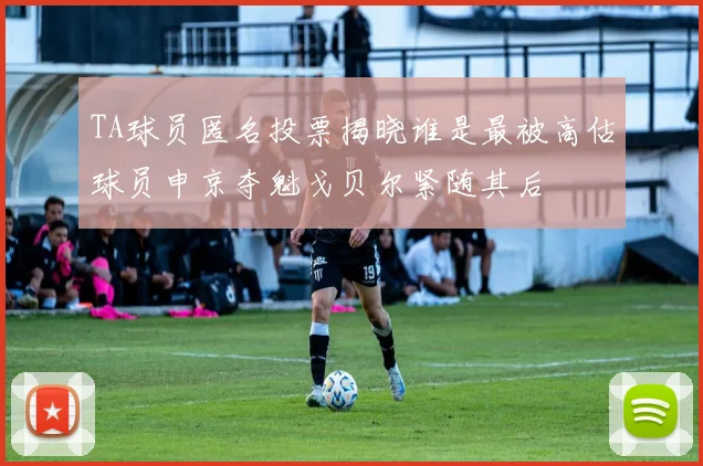 TA球员匿名投票揭晓谁是最被高估球员申京夺魁戈贝尔紧随其后