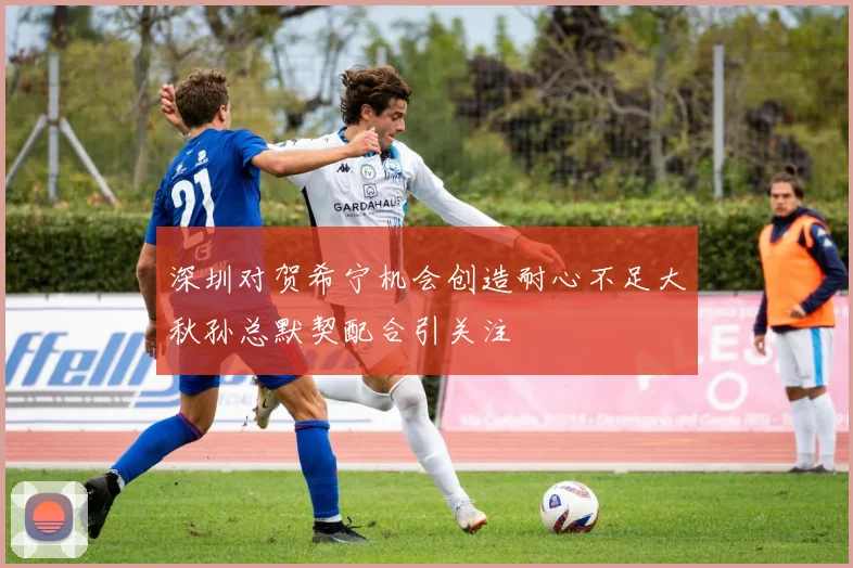 深圳对贺希宁机会创造耐心不足大秋孙总默契配合引关注